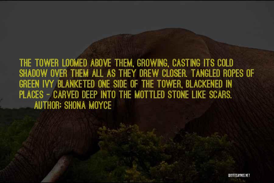 Shona Moyce Quotes: The Tower Loomed Above Them, Growing, Casting Its Cold Shadow Over Them All As They Drew Closer. Tangled Ropes Of