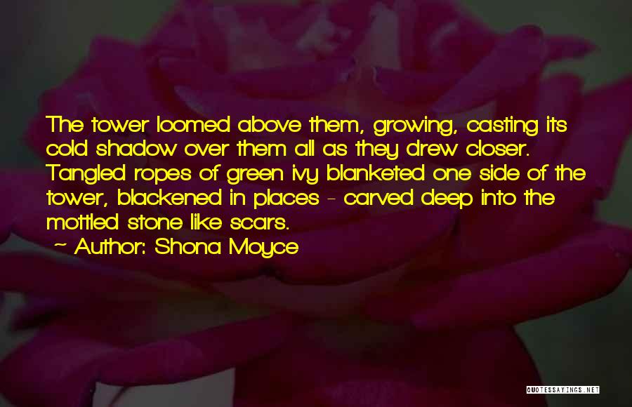 Shona Moyce Quotes: The Tower Loomed Above Them, Growing, Casting Its Cold Shadow Over Them All As They Drew Closer. Tangled Ropes Of