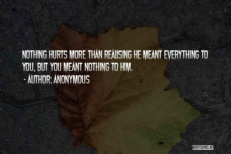 Anonymous Quotes: Nothing Hurts More Than Realising He Meant Everything To You, But You Meant Nothing To Him.
