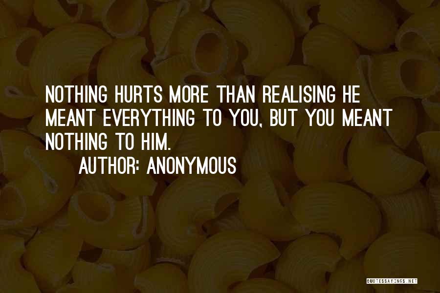 Anonymous Quotes: Nothing Hurts More Than Realising He Meant Everything To You, But You Meant Nothing To Him.