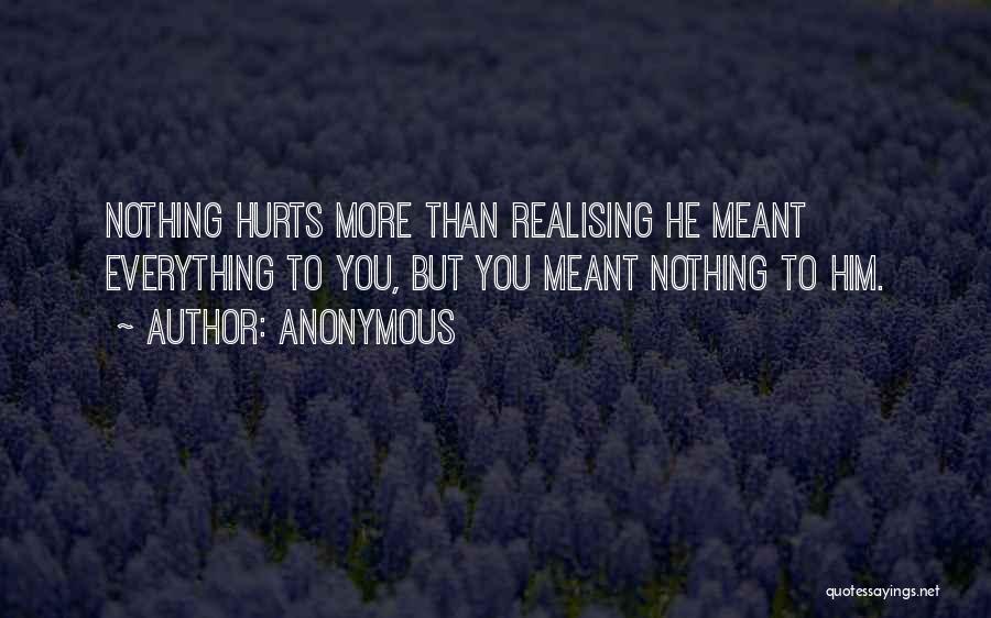 Anonymous Quotes: Nothing Hurts More Than Realising He Meant Everything To You, But You Meant Nothing To Him.