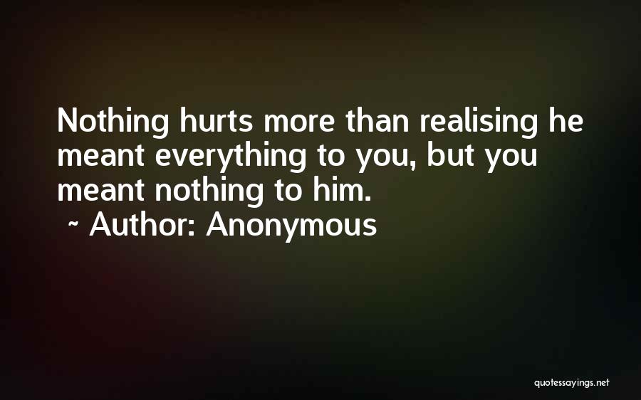 Anonymous Quotes: Nothing Hurts More Than Realising He Meant Everything To You, But You Meant Nothing To Him.