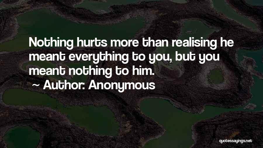 Anonymous Quotes: Nothing Hurts More Than Realising He Meant Everything To You, But You Meant Nothing To Him.