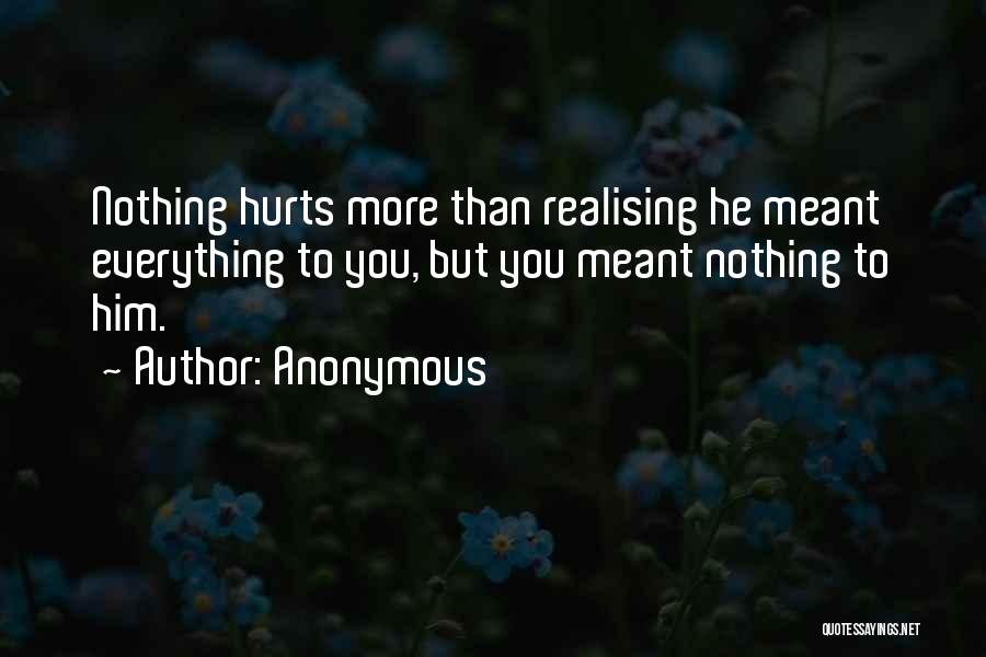 Anonymous Quotes: Nothing Hurts More Than Realising He Meant Everything To You, But You Meant Nothing To Him.