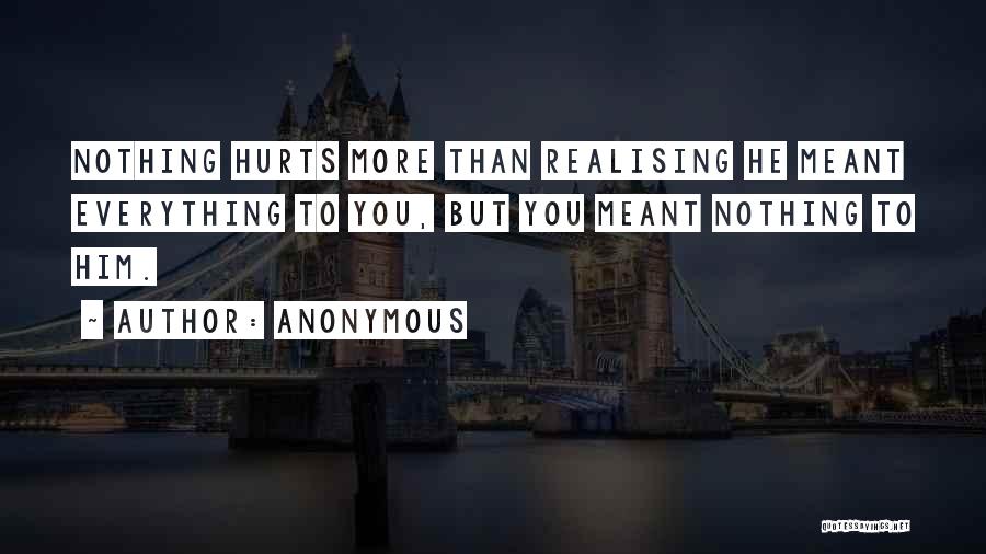 Anonymous Quotes: Nothing Hurts More Than Realising He Meant Everything To You, But You Meant Nothing To Him.