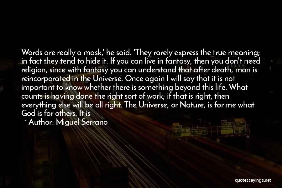 Miguel Serrano Quotes: Words Are Really A Mask,' He Said. 'they Rarely Express The True Meaning; In Fact They Tend To Hide It.