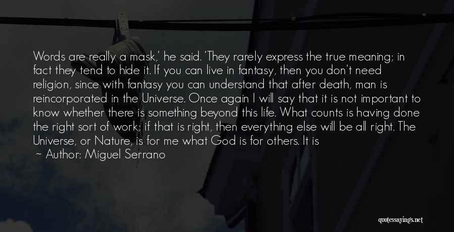 Miguel Serrano Quotes: Words Are Really A Mask,' He Said. 'they Rarely Express The True Meaning; In Fact They Tend To Hide It.