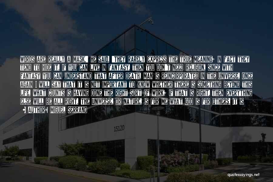 Miguel Serrano Quotes: Words Are Really A Mask,' He Said. 'they Rarely Express The True Meaning; In Fact They Tend To Hide It.
