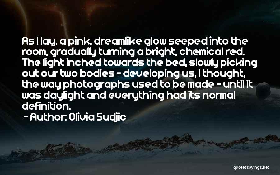 Olivia Sudjic Quotes: As I Lay, A Pink, Dreamlike Glow Seeped Into The Room, Gradually Turning A Bright, Chemical Red. The Light Inched