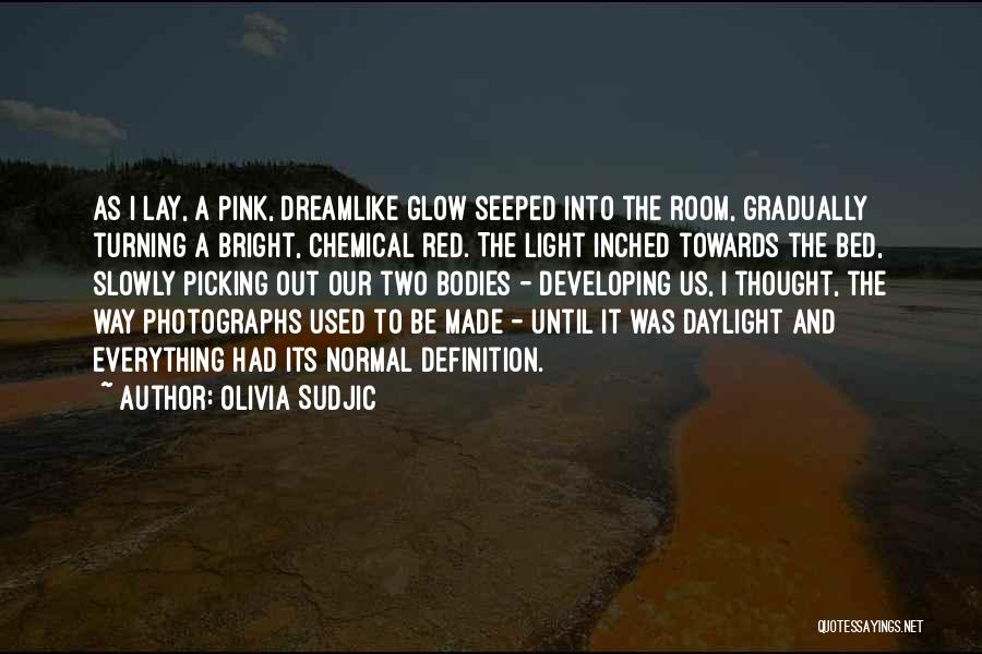 Olivia Sudjic Quotes: As I Lay, A Pink, Dreamlike Glow Seeped Into The Room, Gradually Turning A Bright, Chemical Red. The Light Inched