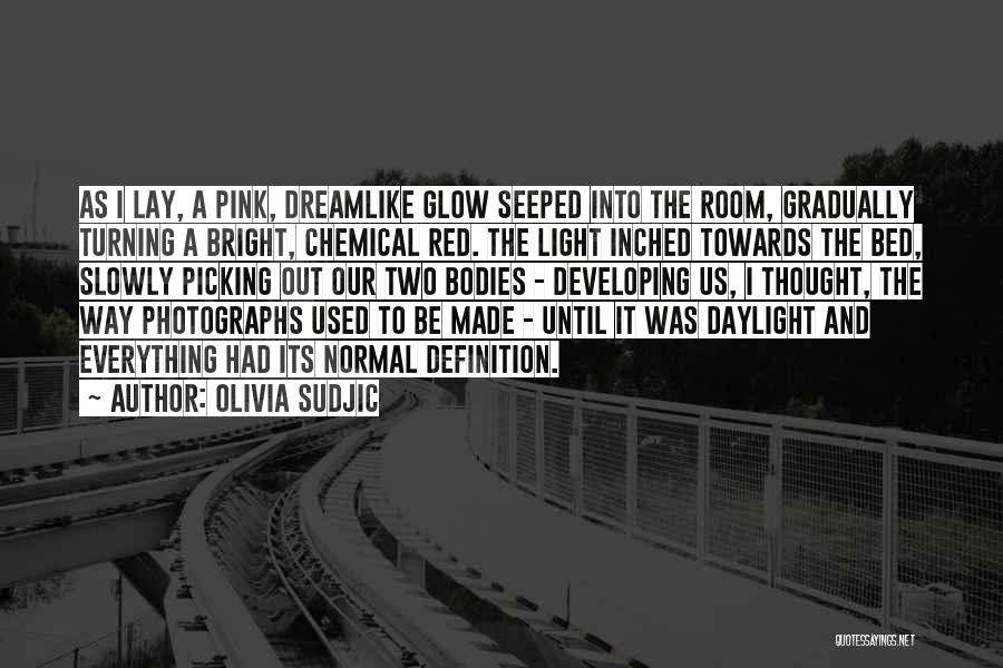 Olivia Sudjic Quotes: As I Lay, A Pink, Dreamlike Glow Seeped Into The Room, Gradually Turning A Bright, Chemical Red. The Light Inched