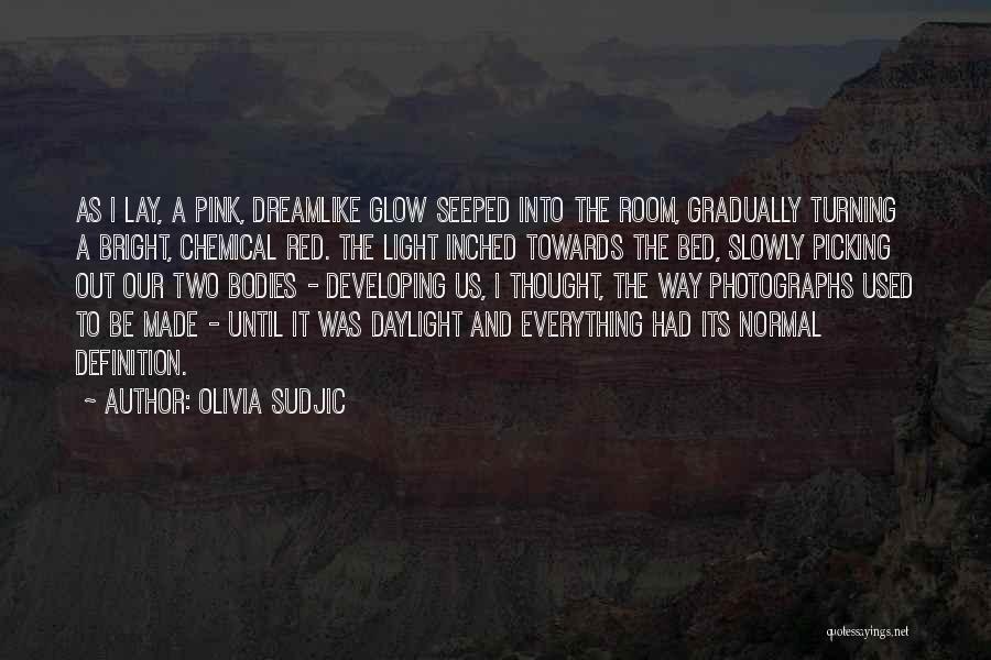 Olivia Sudjic Quotes: As I Lay, A Pink, Dreamlike Glow Seeped Into The Room, Gradually Turning A Bright, Chemical Red. The Light Inched
