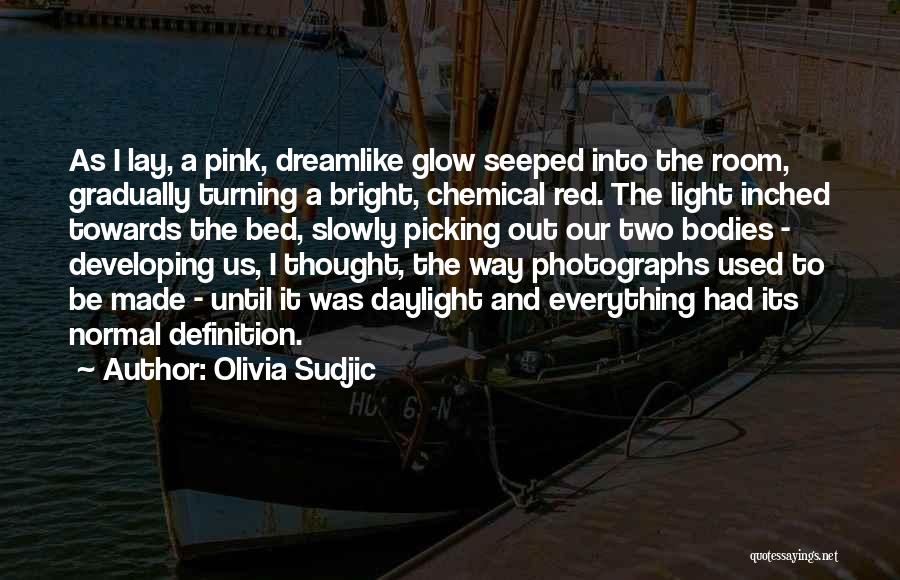 Olivia Sudjic Quotes: As I Lay, A Pink, Dreamlike Glow Seeped Into The Room, Gradually Turning A Bright, Chemical Red. The Light Inched