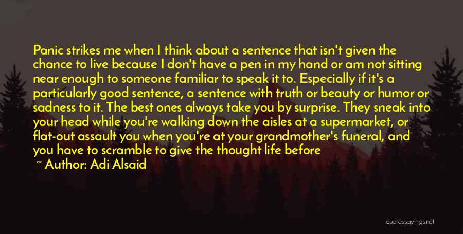 Adi Alsaid Quotes: Panic Strikes Me When I Think About A Sentence That Isn't Given The Chance To Live Because I Don't Have