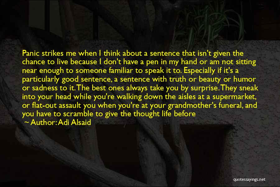 Adi Alsaid Quotes: Panic Strikes Me When I Think About A Sentence That Isn't Given The Chance To Live Because I Don't Have