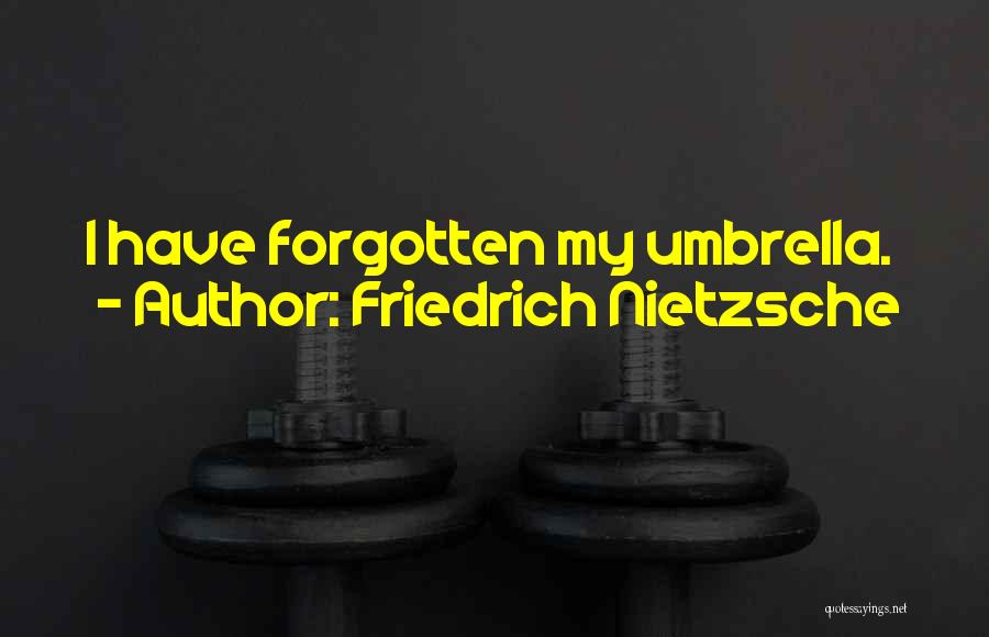 Friedrich Nietzsche Quotes: I Have Forgotten My Umbrella.