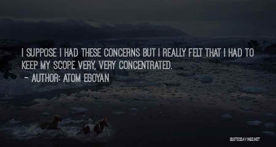 Atom Egoyan Quotes: I Suppose I Had These Concerns But I Really Felt That I Had To Keep My Scope Very, Very Concentrated.