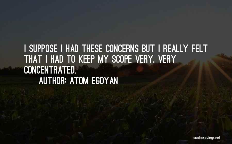 Atom Egoyan Quotes: I Suppose I Had These Concerns But I Really Felt That I Had To Keep My Scope Very, Very Concentrated.