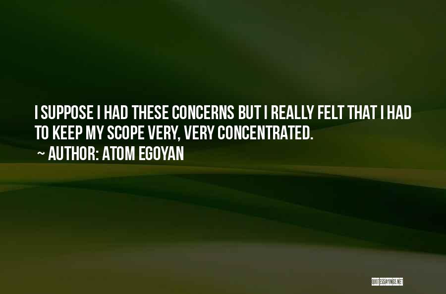 Atom Egoyan Quotes: I Suppose I Had These Concerns But I Really Felt That I Had To Keep My Scope Very, Very Concentrated.