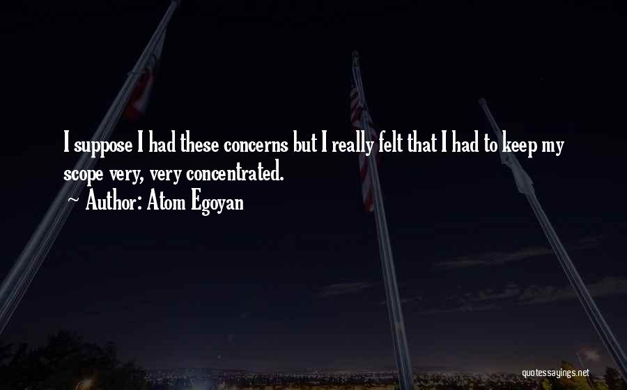 Atom Egoyan Quotes: I Suppose I Had These Concerns But I Really Felt That I Had To Keep My Scope Very, Very Concentrated.