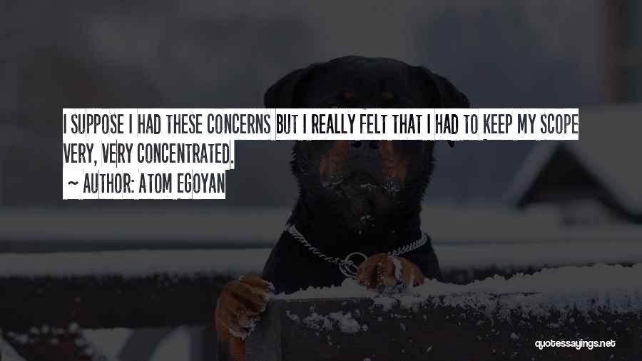 Atom Egoyan Quotes: I Suppose I Had These Concerns But I Really Felt That I Had To Keep My Scope Very, Very Concentrated.