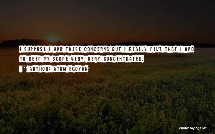 Atom Egoyan Quotes: I Suppose I Had These Concerns But I Really Felt That I Had To Keep My Scope Very, Very Concentrated.