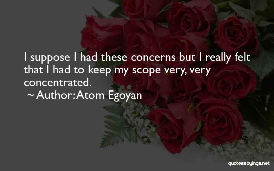 Atom Egoyan Quotes: I Suppose I Had These Concerns But I Really Felt That I Had To Keep My Scope Very, Very Concentrated.