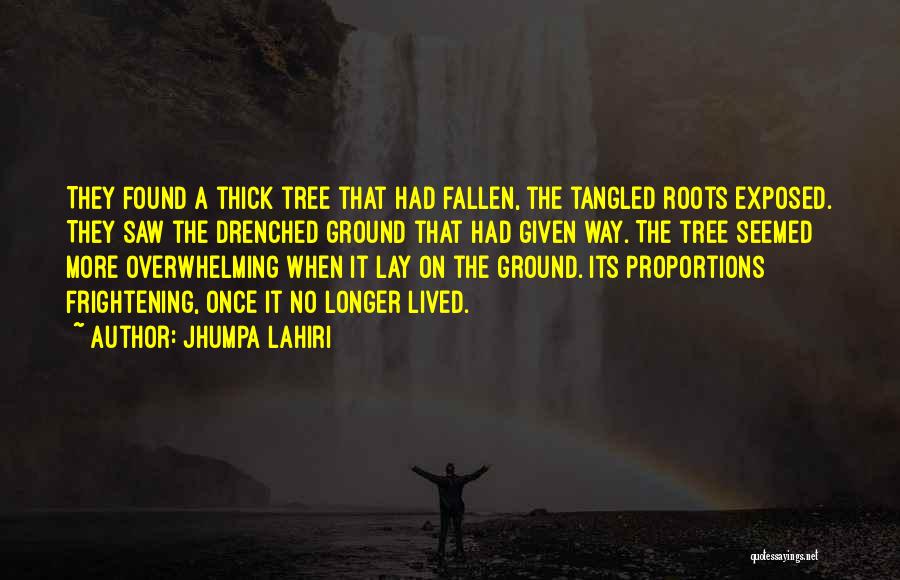 Jhumpa Lahiri Quotes: They Found A Thick Tree That Had Fallen, The Tangled Roots Exposed. They Saw The Drenched Ground That Had Given