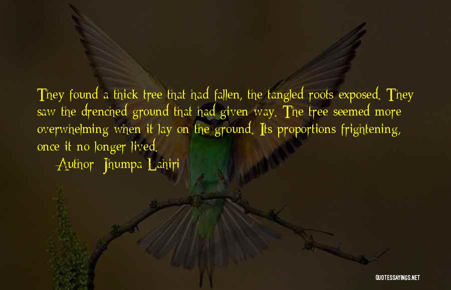 Jhumpa Lahiri Quotes: They Found A Thick Tree That Had Fallen, The Tangled Roots Exposed. They Saw The Drenched Ground That Had Given