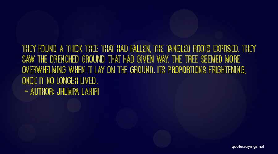 Jhumpa Lahiri Quotes: They Found A Thick Tree That Had Fallen, The Tangled Roots Exposed. They Saw The Drenched Ground That Had Given
