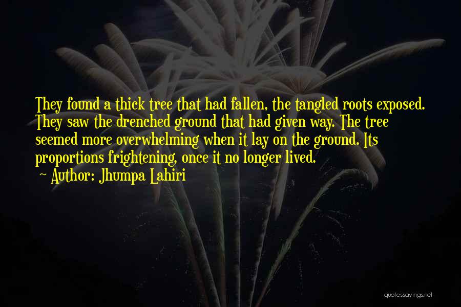 Jhumpa Lahiri Quotes: They Found A Thick Tree That Had Fallen, The Tangled Roots Exposed. They Saw The Drenched Ground That Had Given