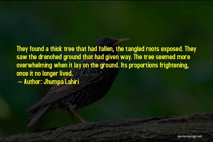Jhumpa Lahiri Quotes: They Found A Thick Tree That Had Fallen, The Tangled Roots Exposed. They Saw The Drenched Ground That Had Given