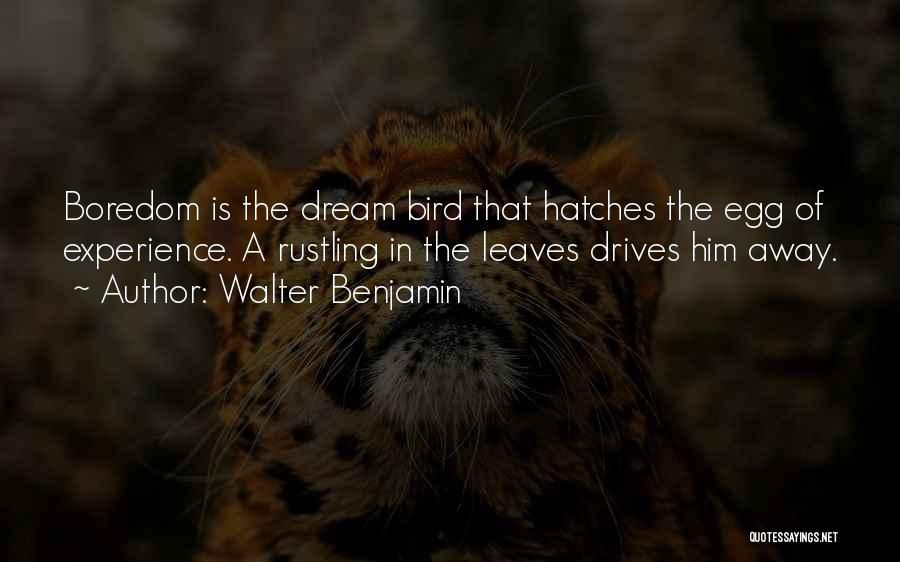 Walter Benjamin Quotes: Boredom Is The Dream Bird That Hatches The Egg Of Experience. A Rustling In The Leaves Drives Him Away.