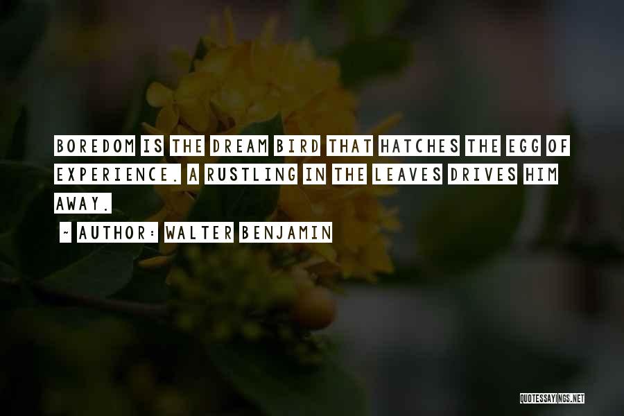 Walter Benjamin Quotes: Boredom Is The Dream Bird That Hatches The Egg Of Experience. A Rustling In The Leaves Drives Him Away.
