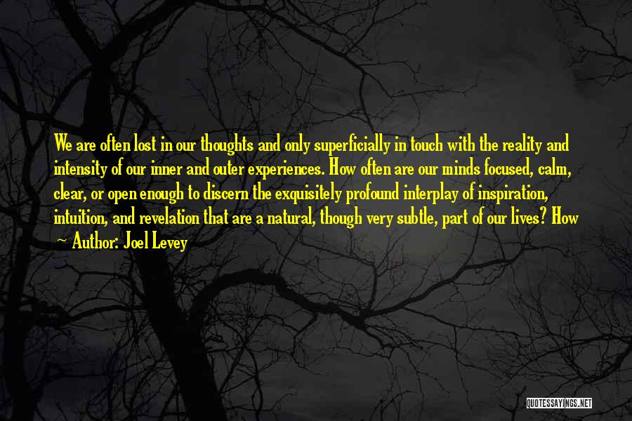 Joel Levey Quotes: We Are Often Lost In Our Thoughts And Only Superficially In Touch With The Reality And Intensity Of Our Inner