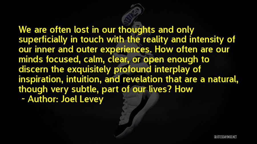 Joel Levey Quotes: We Are Often Lost In Our Thoughts And Only Superficially In Touch With The Reality And Intensity Of Our Inner