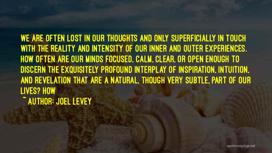 Joel Levey Quotes: We Are Often Lost In Our Thoughts And Only Superficially In Touch With The Reality And Intensity Of Our Inner