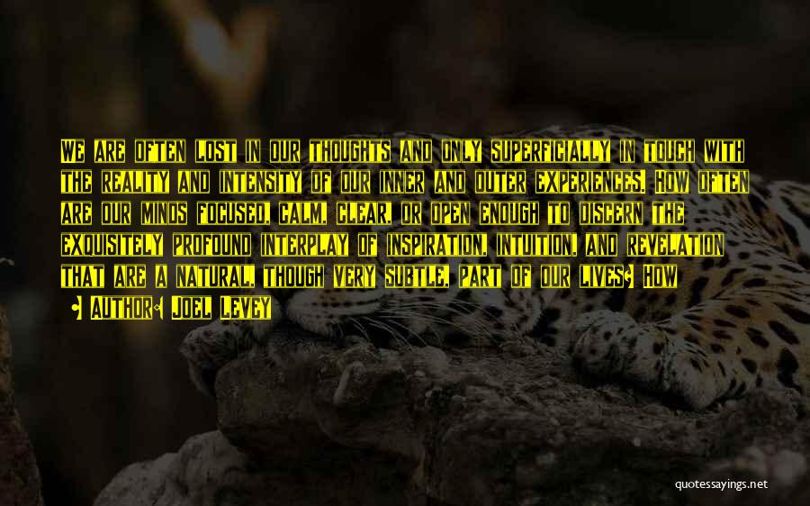 Joel Levey Quotes: We Are Often Lost In Our Thoughts And Only Superficially In Touch With The Reality And Intensity Of Our Inner