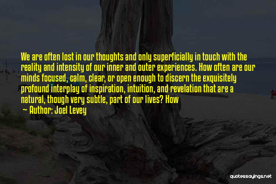 Joel Levey Quotes: We Are Often Lost In Our Thoughts And Only Superficially In Touch With The Reality And Intensity Of Our Inner