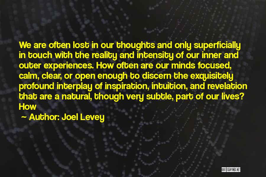 Joel Levey Quotes: We Are Often Lost In Our Thoughts And Only Superficially In Touch With The Reality And Intensity Of Our Inner