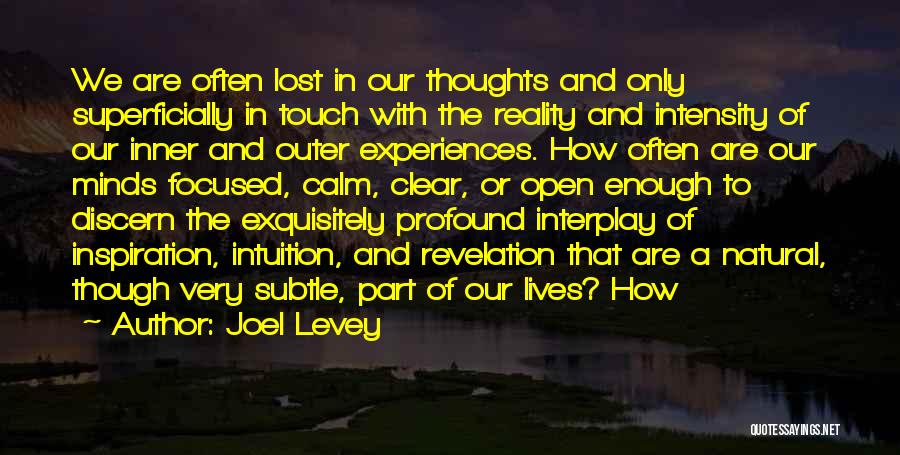 Joel Levey Quotes: We Are Often Lost In Our Thoughts And Only Superficially In Touch With The Reality And Intensity Of Our Inner
