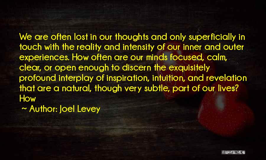 Joel Levey Quotes: We Are Often Lost In Our Thoughts And Only Superficially In Touch With The Reality And Intensity Of Our Inner