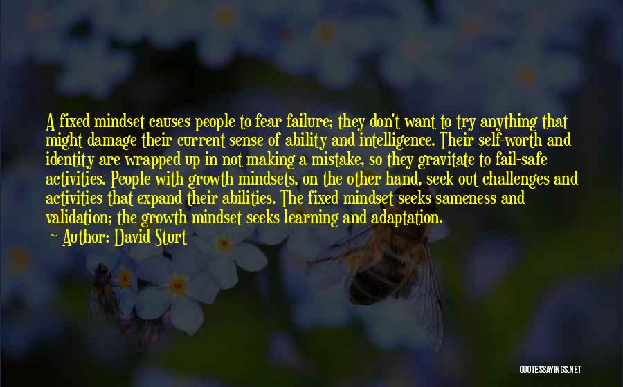 David Sturt Quotes: A Fixed Mindset Causes People To Fear Failure; They Don't Want To Try Anything That Might Damage Their Current Sense