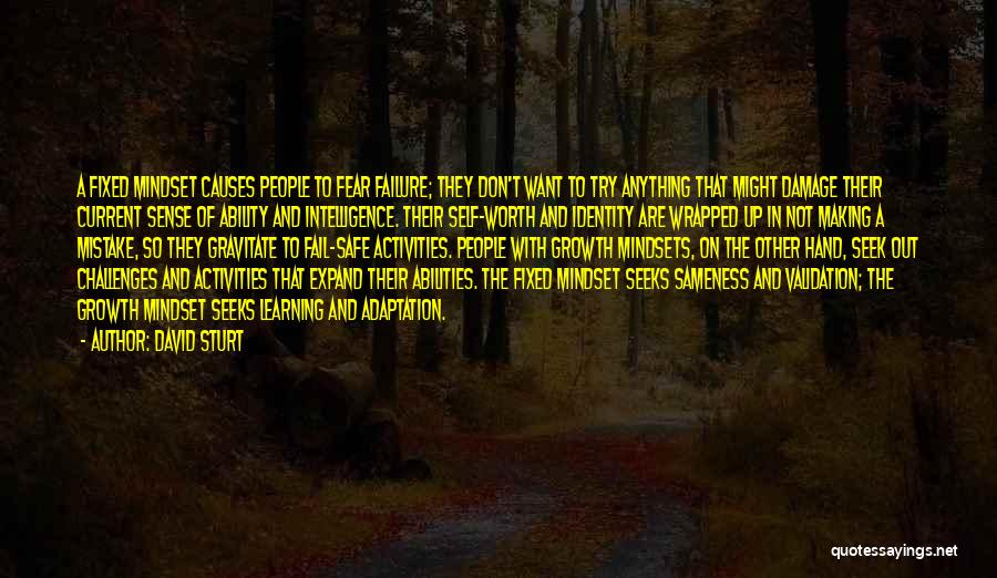 David Sturt Quotes: A Fixed Mindset Causes People To Fear Failure; They Don't Want To Try Anything That Might Damage Their Current Sense