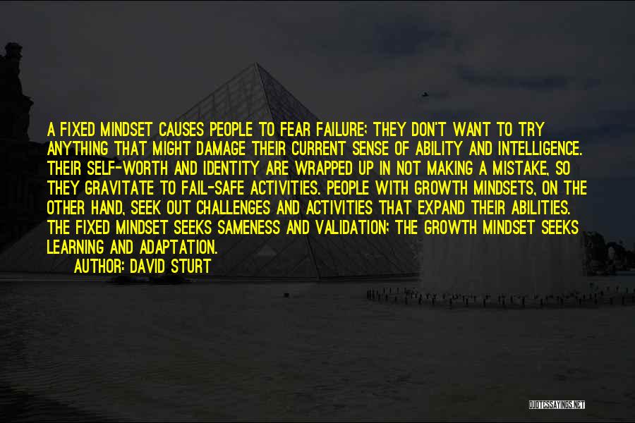 David Sturt Quotes: A Fixed Mindset Causes People To Fear Failure; They Don't Want To Try Anything That Might Damage Their Current Sense