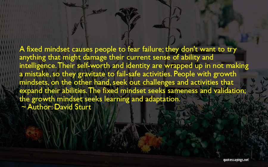 David Sturt Quotes: A Fixed Mindset Causes People To Fear Failure; They Don't Want To Try Anything That Might Damage Their Current Sense