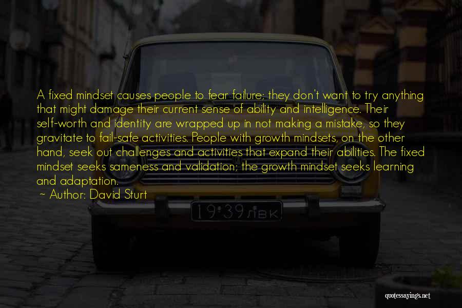 David Sturt Quotes: A Fixed Mindset Causes People To Fear Failure; They Don't Want To Try Anything That Might Damage Their Current Sense