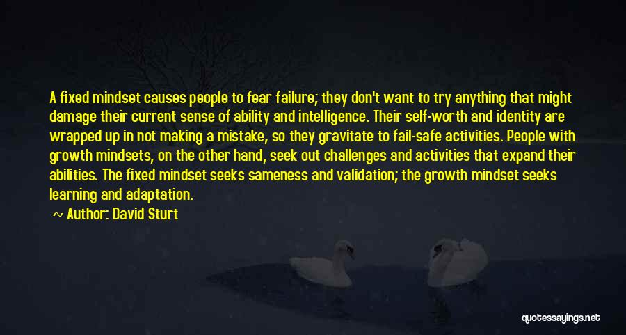 David Sturt Quotes: A Fixed Mindset Causes People To Fear Failure; They Don't Want To Try Anything That Might Damage Their Current Sense