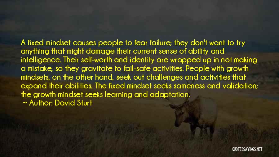 David Sturt Quotes: A Fixed Mindset Causes People To Fear Failure; They Don't Want To Try Anything That Might Damage Their Current Sense