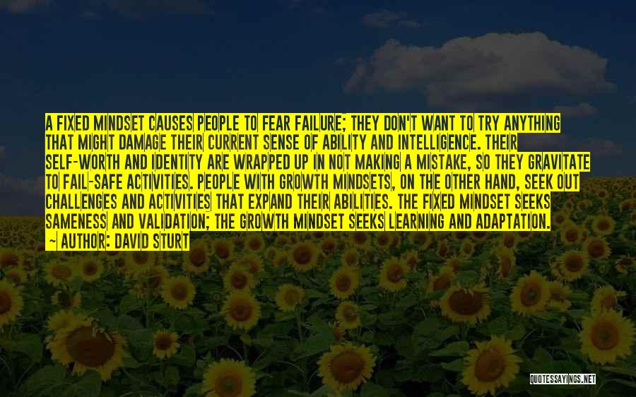 David Sturt Quotes: A Fixed Mindset Causes People To Fear Failure; They Don't Want To Try Anything That Might Damage Their Current Sense